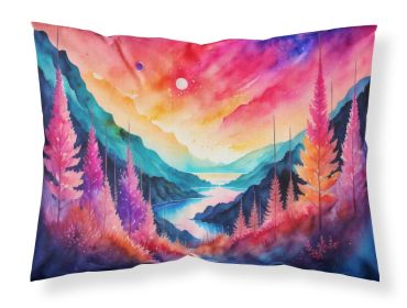 Astilbe in Color Standard Pillowcase Lightweight Super Soft Easy Care Decorative Artwork Pillowcase, Standard