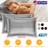 2 Pack Soft Silky Satin Pillow Case Hypoallergenic Breathable Bed Pillow Cover Queen Size Pillowcase Great for Hair Skin